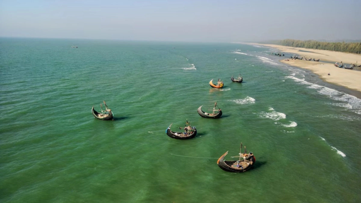 Monsoon Changes Threaten Bay of Bengal Fisheries: Hilsa and Marine Life at Risk