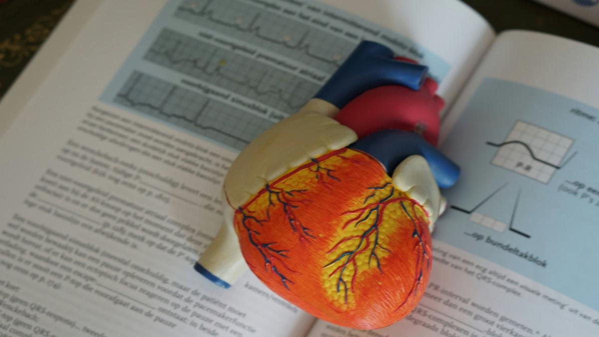 are-gyms-causing-heart-attacks-experts-weigh-in-after-alarming-trends