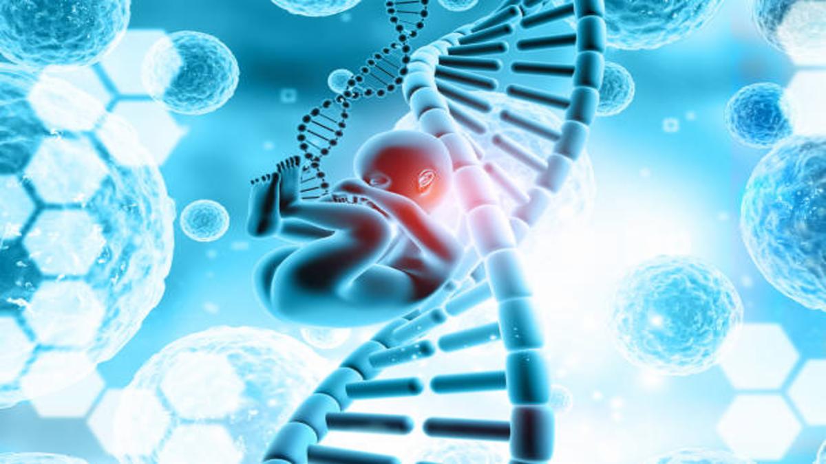 Silent Revolution: The Full Story Behind Genetic Screening’s Rise in IVF