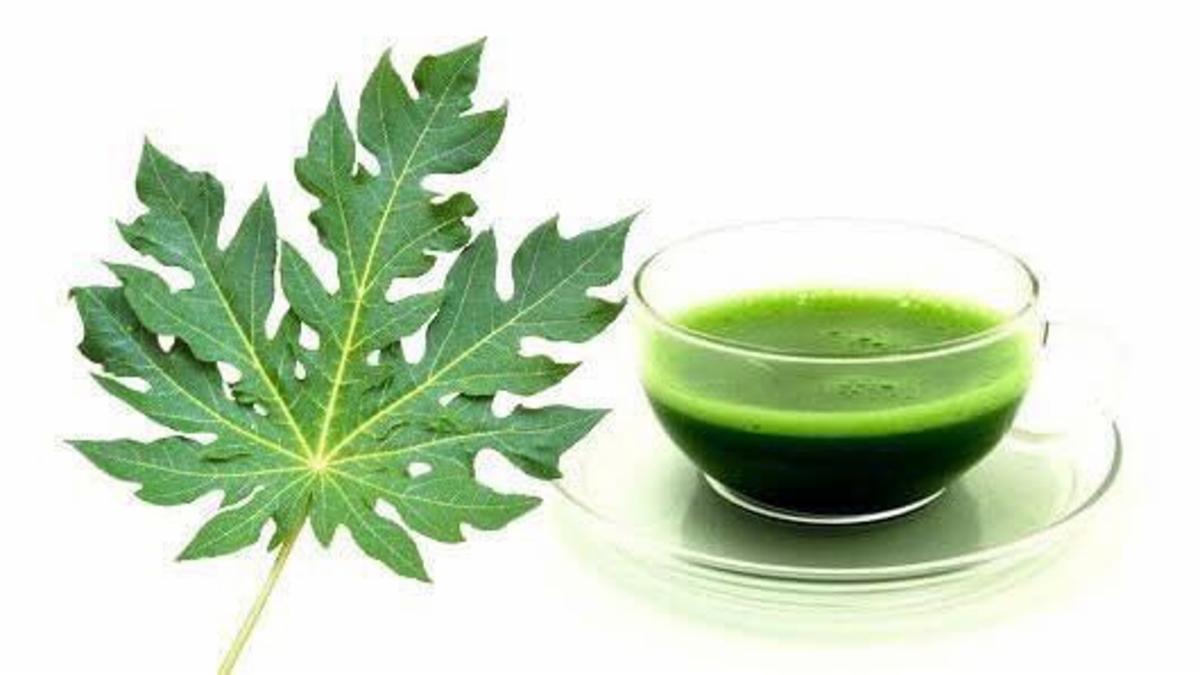 New Breakthrough Trends in Natural Remedies for PCOS & Menstrual Health